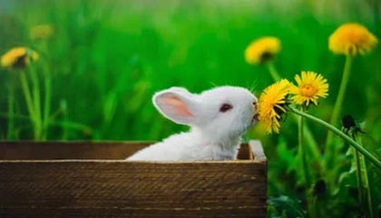 伴游景点的魅力